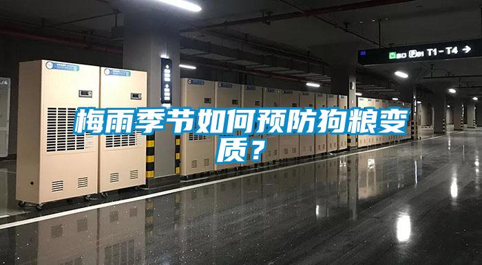 梅雨季節(jié)如何預(yù)防狗糧變質(zhì)？