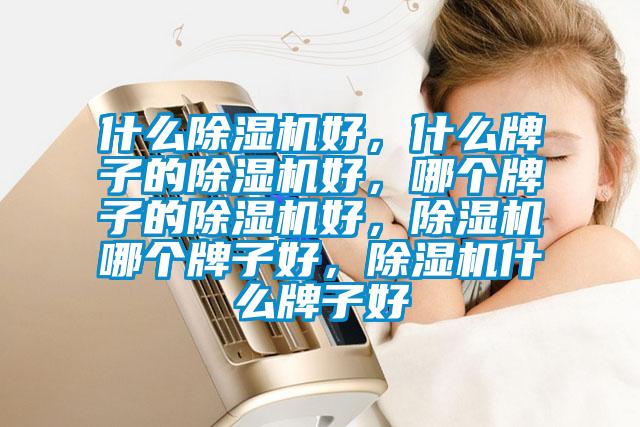 什么除濕機好，什么牌子的除濕機好，哪個牌子的除濕機好，除濕機哪個牌子好，除濕機什么牌子好