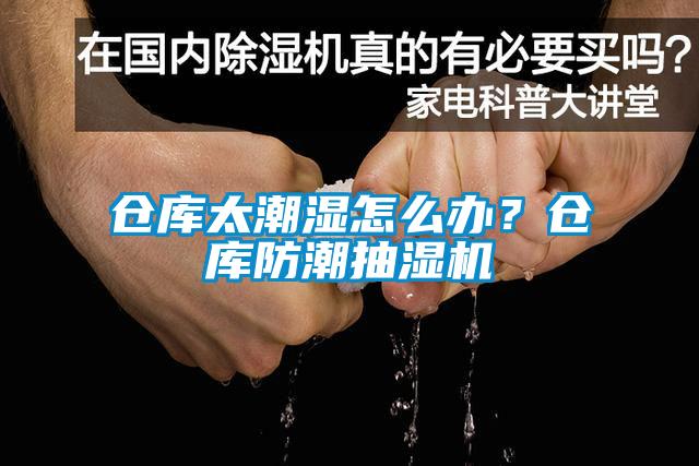 倉庫太潮濕怎么辦？倉庫防潮抽濕機