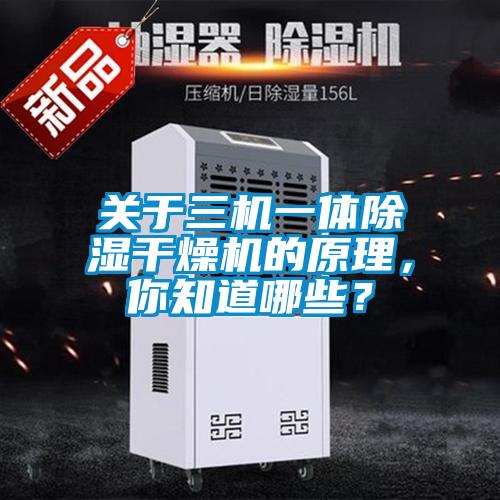 關(guān)于三機(jī)一體除濕干燥機(jī)的原理，你知道哪些？