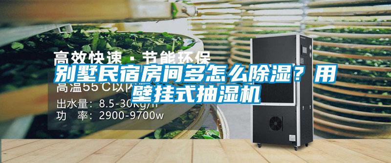 別墅民宿房間多怎么除濕？用壁掛式抽濕機(jī)