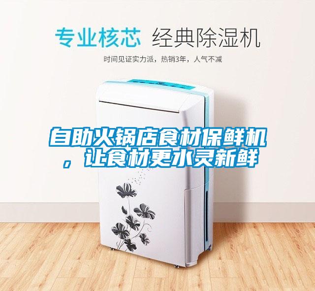 自助火鍋店食材保鮮機，讓食材更水靈新鮮