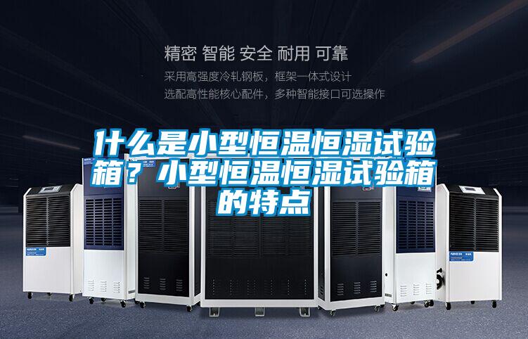 什么是小型恒溫恒濕試驗箱？小型恒溫恒濕試驗箱的特點