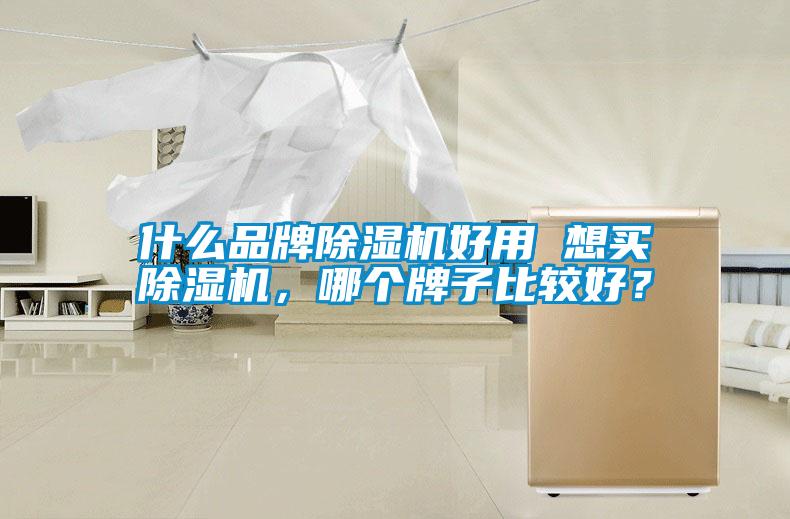 什么品牌除濕機好用 想買除濕機，哪個牌子比較好？