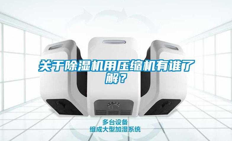 關(guān)于除濕機(jī)用壓縮機(jī)有誰了解？