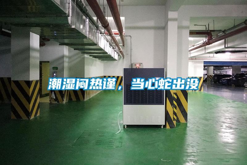 潮濕悶熱謹(jǐn)，當(dāng)心蛇出沒(méi)