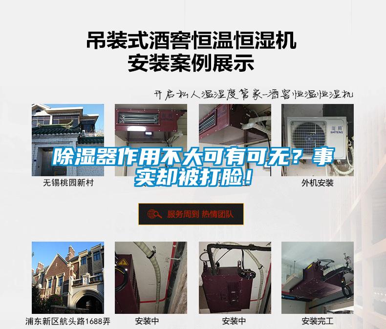 除濕器作用不大可有可無？事實卻被打臉！