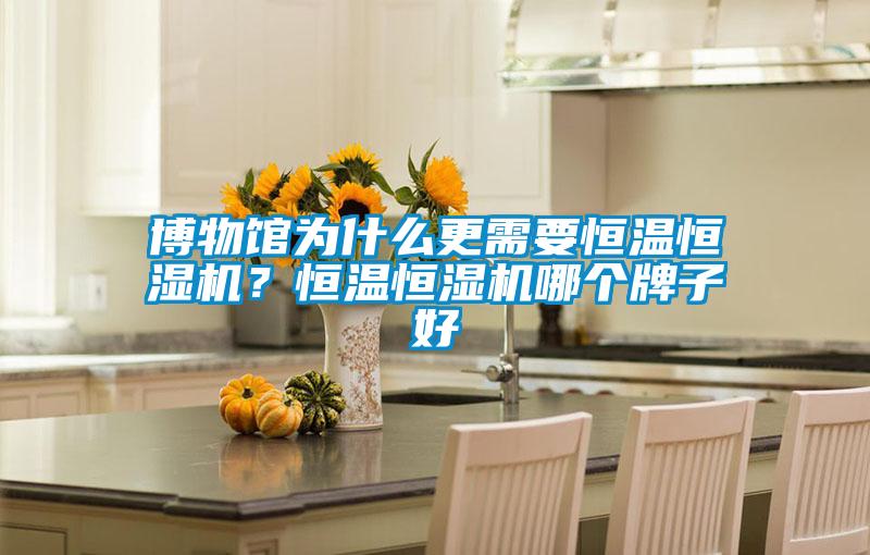 博物館為什么更需要恒溫恒濕機(jī)？恒溫恒濕機(jī)哪個牌子好