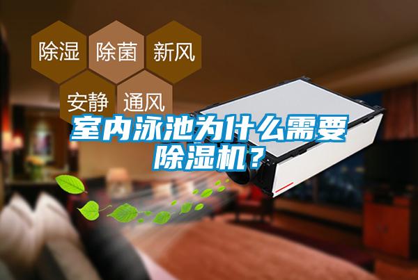 室內(nèi)泳池為什么需要除濕機？