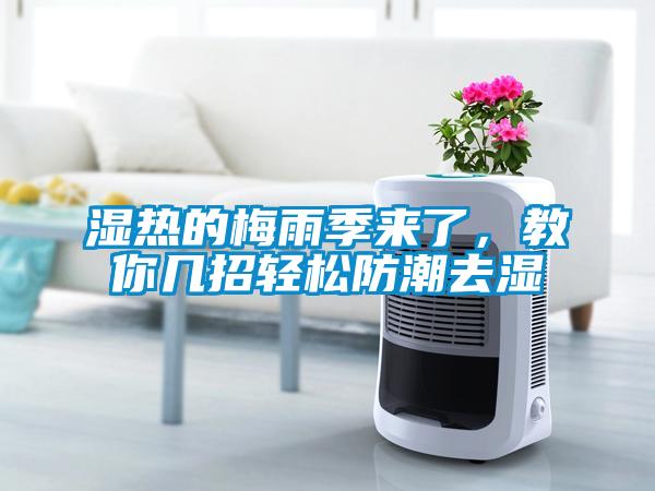 濕熱的梅雨季來了，教你幾招輕松防潮去濕