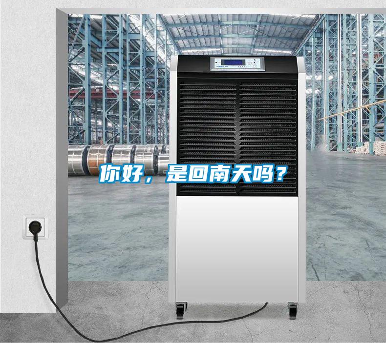 你好，是回南天嗎？