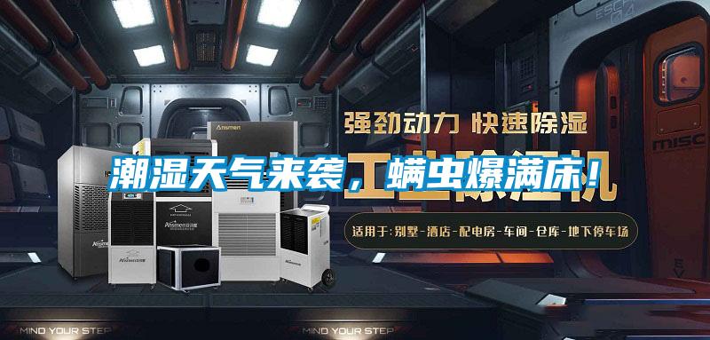 潮濕天氣來襲，螨蟲爆滿床！