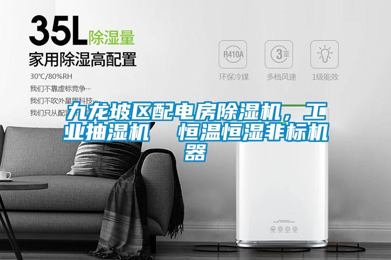 九龍坡區(qū)配電房除濕機，工業(yè)抽濕機  恒溫恒濕非標機器