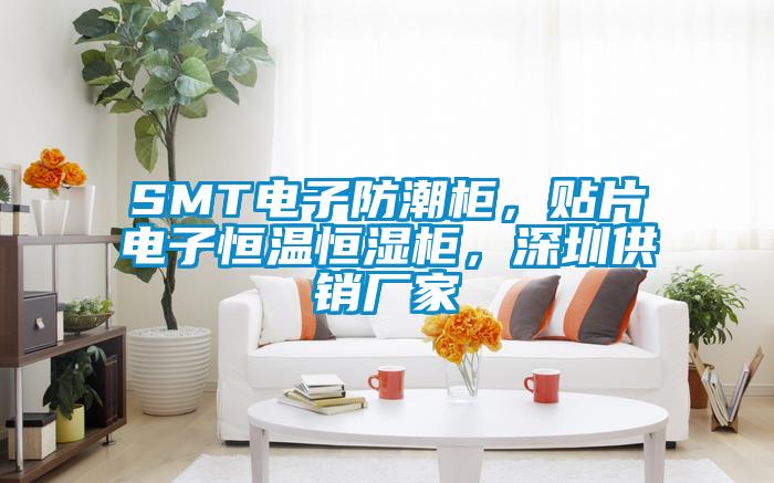 SMT電子防潮柜，貼片電子恒溫恒濕柜，深圳供銷廠家