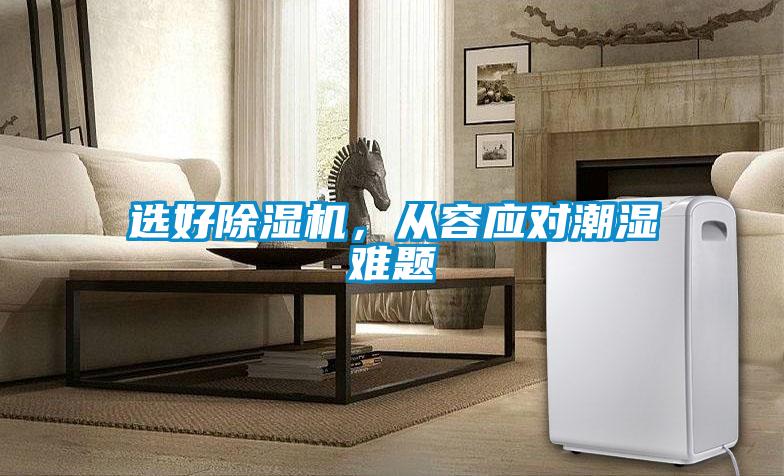 選好除濕機，從容應對潮濕難題