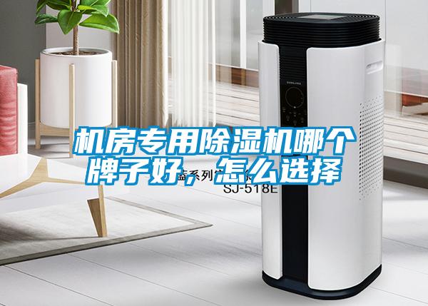 機(jī)房專用除濕機(jī)哪個牌子好，怎么選擇