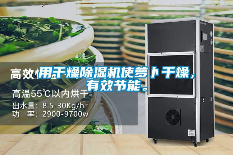 用干燥除濕機使蘿卜干燥，有效節(jié)能。