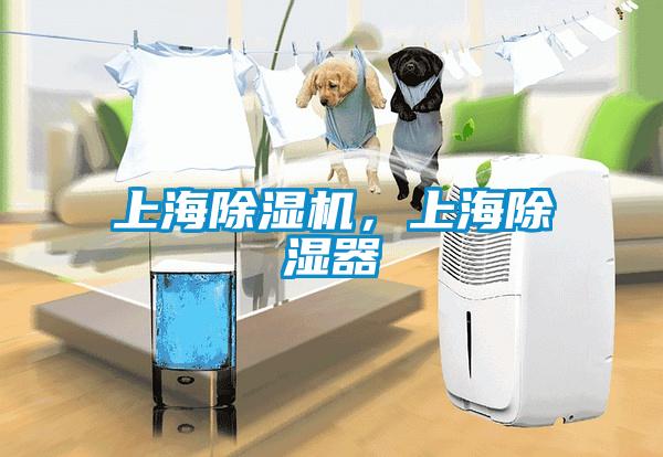 上海除濕機，上海除濕器