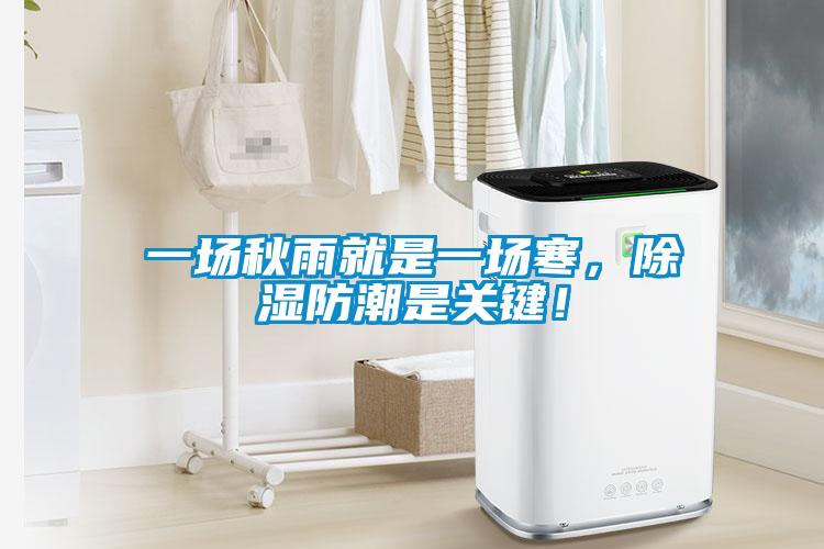 一場(chǎng)秋雨就是一場(chǎng)寒，除濕防潮是關(guān)鍵！