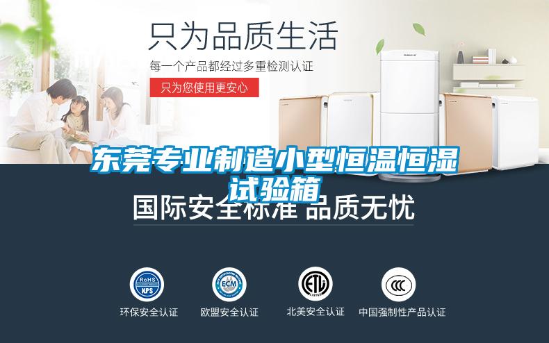東莞專(zhuān)業(yè)制造小型恒溫恒濕試驗(yàn)箱