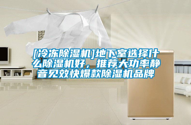 [冷凍除濕機]地下室選擇什么除濕機好，推薦大功率靜音見效快爆款除濕機品牌