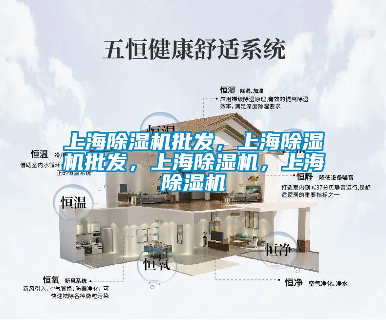 上海除濕機(jī)批發(fā)，上海除濕機(jī)批發(fā)，上海除濕機(jī)，上海除濕機(jī)