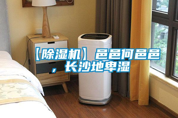 【除濕機】邑邑何邑邑，長沙地卑濕