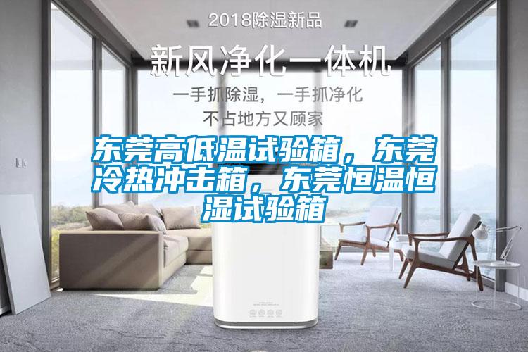 東莞高低溫試驗(yàn)箱，東莞冷熱沖擊箱，東莞恒溫恒濕試驗(yàn)箱