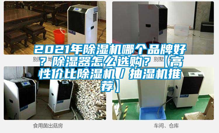 2021年除濕機(jī)哪個(gè)品牌好？除濕器怎么選購(gòu)？【高性價(jià)比除濕機(jī)／抽濕機(jī)推薦】