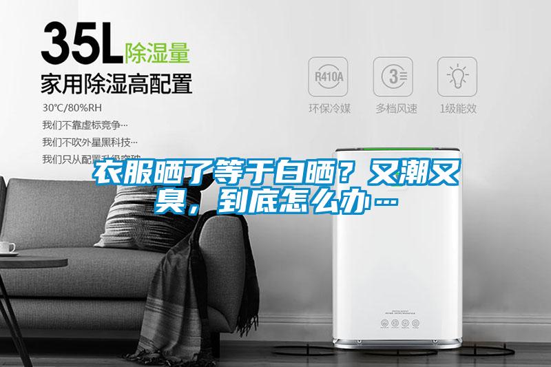 衣服曬了等于白曬？又潮又臭，到底怎么辦…