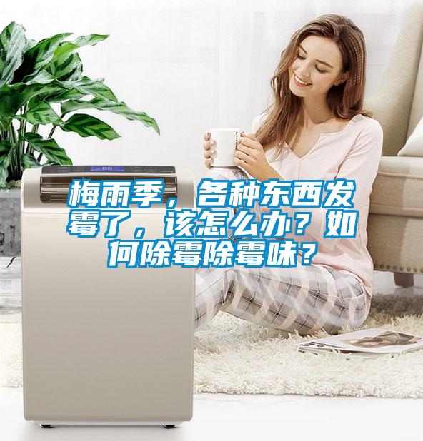 梅雨季，各種東西發(fā)霉了，該怎么辦？如何除霉除霉味？