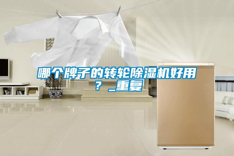 哪個(gè)牌子的轉(zhuǎn)輪除濕機(jī)好用？_重復(fù)