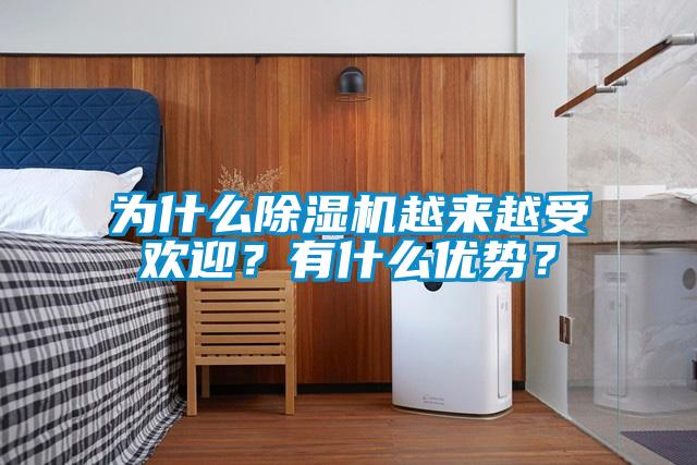 為什么除濕機(jī)越來越受歡迎？有什么優(yōu)勢(shì)？