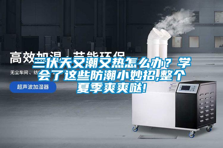 三伏天又潮又熱怎么辦？學(xué)會(huì)了這些防潮小妙招,整個(gè)夏季爽爽噠!