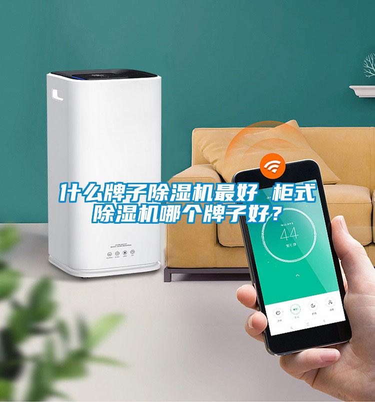 什么牌子除濕機(jī)最好 柜式除濕機(jī)哪個牌子好？