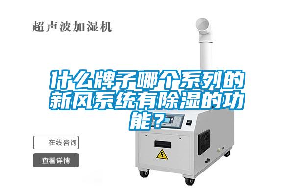 什么牌子哪個系列的新風(fēng)系統(tǒng)有除濕的功能？