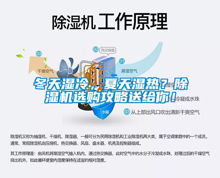 冬天濕冷，夏天濕熱？除濕機選購攻略送給你！