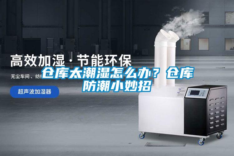 倉庫太潮濕怎么辦？倉庫防潮小妙招