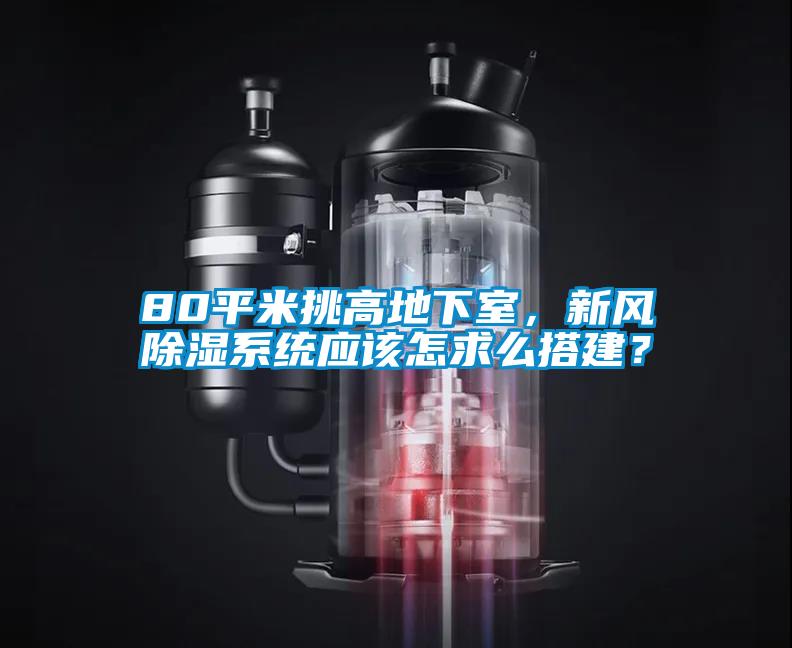 80平米挑高地下室，新風(fēng)除濕系統(tǒng)應(yīng)該怎求么搭建？