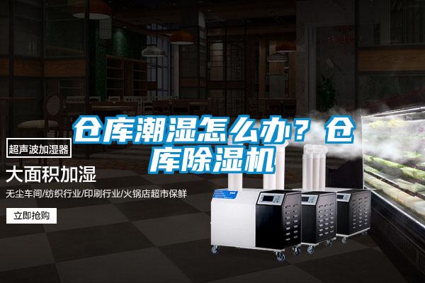 倉(cāng)庫(kù)潮濕怎么辦？倉(cāng)庫(kù)除濕機(jī)