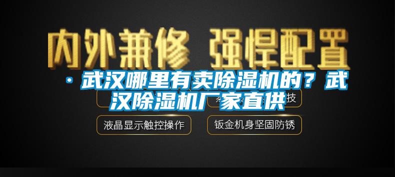 ·武漢哪里有賣(mài)除濕機(jī)的？武漢除濕機(jī)廠家直供