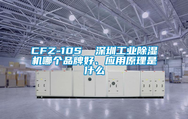 CFZ-10S  深圳工業(yè)除濕機(jī)哪個(gè)品牌好、應(yīng)用原理是什么