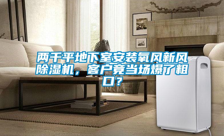 兩千平地下室安裝氧風新風除濕機，客戶竟當場爆了粗口？