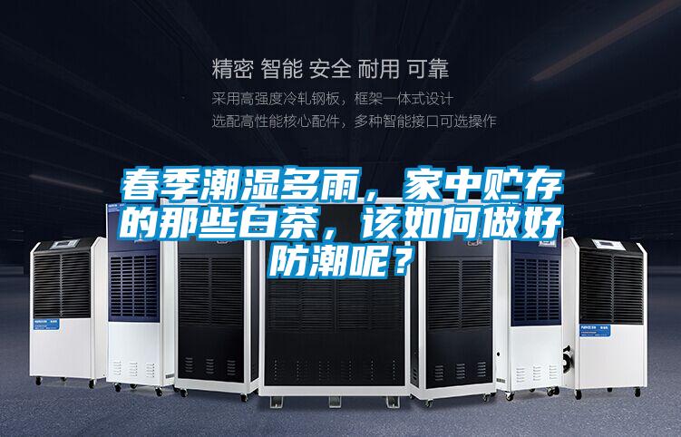 春季潮濕多雨，家中貯存的那些白茶，該如何做好防潮呢？