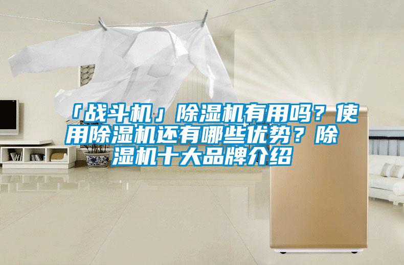 「戰(zhàn)斗機(jī)」除濕機(jī)有用嗎？使用除濕機(jī)還有哪些優(yōu)勢(shì)？除濕機(jī)十大品牌介紹