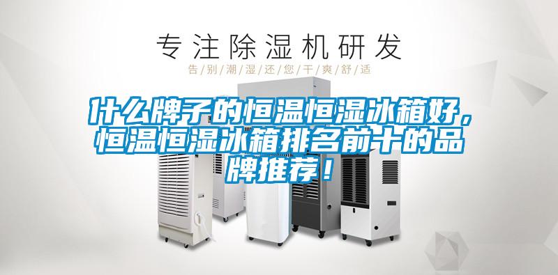 什么牌子的恒溫恒濕冰箱好，恒溫恒濕冰箱排名前十的品牌推薦！