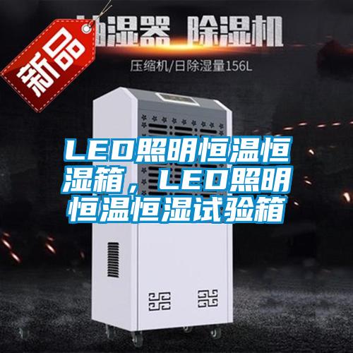 LED照明恒溫恒濕箱，LED照明恒溫恒濕試驗箱