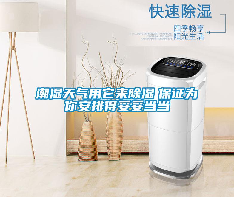 潮濕天氣用它來(lái)除濕　保證為你安排得妥妥當(dāng)當(dāng)