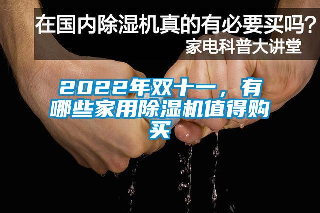 2022年雙十一，有哪些家用除濕機(jī)值得購(gòu)買(mǎi)