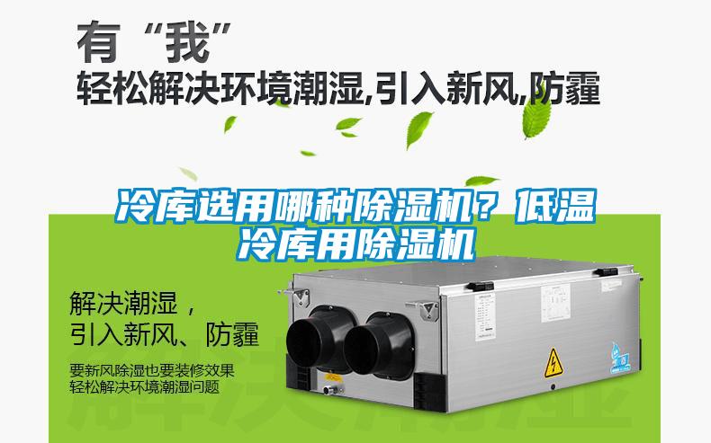冷庫選用哪種除濕機？低溫冷庫用除濕機